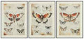 Jossletts Wall Art (Set of 3)