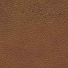 Magic Man 5-Piece Power Reclining Sectional