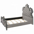 Perine Bed