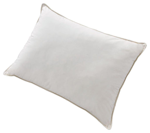 Z123 - Cotton Allergy Pillow