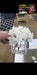 GLASS VASE W/ FLOWER VIP JACK